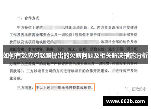 如何有效应对赵鹏提出的欠薪问题及相关解决措施分析