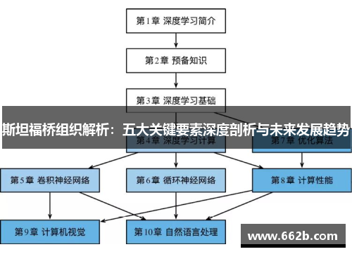 斯坦福桥组织解析：五大关键要素深度剖析与未来发展趋势