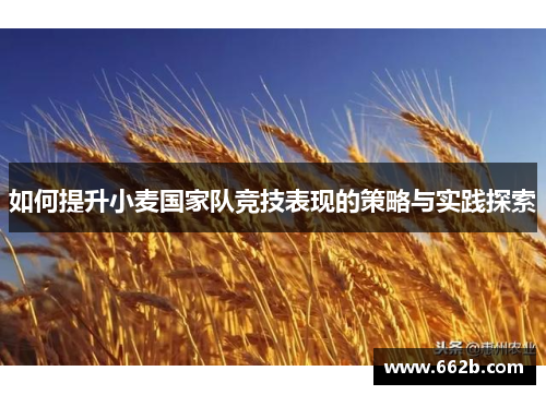 如何提升小麦国家队竞技表现的策略与实践探索