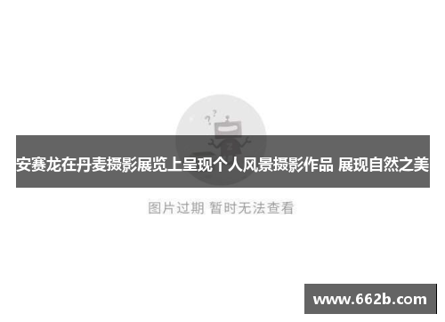 安赛龙在丹麦摄影展览上呈现个人风景摄影作品 展现自然之美