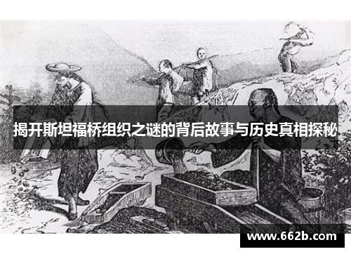 揭开斯坦福桥组织之谜的背后故事与历史真相探秘